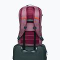 Градска раница Cotopaxi Allpa Daypack 26 l fig 6