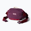 Чантичка за кръстна Cotopaxi Empcable Sling 3 l acai 2