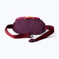 Чантичка за кръстна Cotopaxi Empcable Sling 3 l acai 3