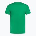 Мъжка фланелка за тенис Nike Court Dri-Fit Heritage stadium green 2