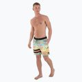 Мъжки къси панталони Hurley Phantom Eco Block Party Volley 17" с ананас 2