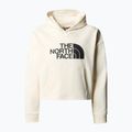 Детски суитшърт The North Face Drew Peak Light Hoodie white dune