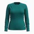 Дамска термоактивна блуза Smartwool Merino 250 Baselayer Crew Boxed emerald green 3
