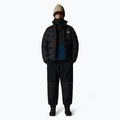 Мъжко пухено яке The North Face Hydrenalite Down Jacket black 2