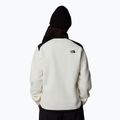 Дамски суитшърт The North Face Alpine Polartec 200 FZ white dune/black 3