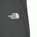 Мъжки панталони за бягане The North Face Sunriser smoked pearl/asphalt grey 5