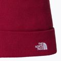 Мъжка шапка за трекинг The North Face Norm Beanie beetroot 2