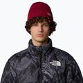 Мъжка шапка за трекинг The North Face Norm Beanie beetroot 3