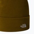 Мъжка шапка за трекинг The North Face Norm Beanie moss green 2