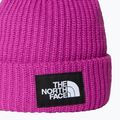 Детска зимна шапка The North Face Salty Bae deep mulberry 2