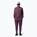 Дамски суитшърт The North Face Mountain Athletics Fleece Crew midnight mauve 2