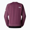 Дамски суитшърт The North Face Mountain Athletics Fleece Crew midnight mauve 5