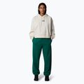 Дамски суитшърт с качулка The North Face Essential Crop white dune 2