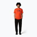 Мъжка тениска The North Face Easy crimson orange/alpine plum 2