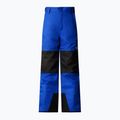 Детски ски панталони The North Face Freedom Insulated blue 4