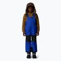 Детски ски панталон The North Face Kid Freedom Insulated Bib син