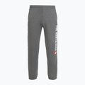 Мъжки панталони The North Face Varsity Graphic medium grey heather