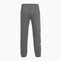 Мъжки панталони The North Face Varsity Graphic medium grey heather 2