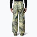 Мъжки скиорски панталони The North Face Build Up nettle the lift print 3