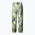 Мъжки скиорски панталони The North Face Build Up nettle the lift print 4