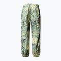Мъжки скиорски панталони The North Face Build Up nettle the lift print 5