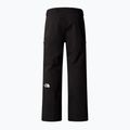 Мъжки скиорски панталони The North Face Chakal Short black 5