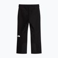 Мъжки скиорски панталони The North Face Descendit tnf black 4