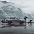 Кутия за теглич Thule Santu black 5