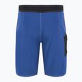Мъжки къси панталони за плуване Saturn Solid 21" Monaco Blue на Quiksilver 7