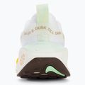 Дамски обувки за бягане Nike InfinityRN 4 white/sail/vapor green/multi-color 6