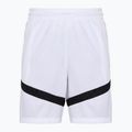 Мъжки баскетболни шорти Nike Icon Dri-Fit 8“ white/white/black/black