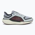 Мъжки обувки за бягане Nike Pegasus 41 GTX ight pumice/ burgundy crush/ dark smoke grey/ ashen slate 2