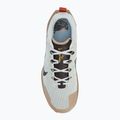 Мъжки обувки за бягане Nike Wildhorse 8 Trail R light silver / velvet brown / khaki 5