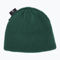 Зимна шапка Nike Peak Futura Beanie 365 Short-Cuff fir 4