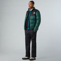 Мъжки панталони The North Face Antora Rain black 2