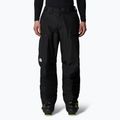 Мъжки скиорски панталони The North Face Dawnstrike GTX black/npf