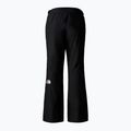 Дамски скиорски панталони The North Face Dawnstrike GTX Insulated black/npf 5