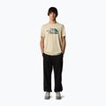 Мъжка тениска The North Face Mountain Line Tee с гравий 2