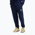 Мъжки панталони за трекинг The North Face Simple Dome Light Regular Tapered Jogger summit navy