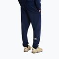 Мъжки панталони за трекинг The North Face Simple Dome Light Regular Tapered Jogger summit navy 3