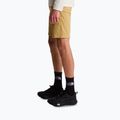 Мъжки шорти за трекинг The North Face Lightning SHT khaki stone/npf 4