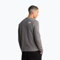 Мъжки суитшърт The North Face Kecha Crew smoked pearl/asphalt grey 3