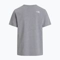 Мъжка тениска The North Face Evolution Half Dome tnf pale grey heather 5