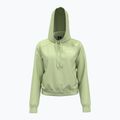 Дамска качулка Under Armour Pro Fleece Hoodie retro green/white