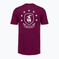 Мъжка тренировъчна тениска Under Armour Project Rock Badge Of Honor purple 4