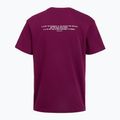 Мъжка тренировъчна тениска Under Armour Project Rock Terry Q3 purple 2