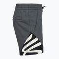 Мъжки къси панталони Under Armour Curry Splash Fleece castlerock full heather/black/white clay 3