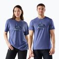 Мъжка тениска за трекинг Smartwool Alpine A-Frame Graphic Tee nightfall blue 2