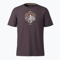 Мъжка тениска за трекинг Smartwool Peak Energy Active Graphic mink heather 3