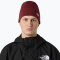 Зимна шапка The North Face Norm Beanie sumac 3